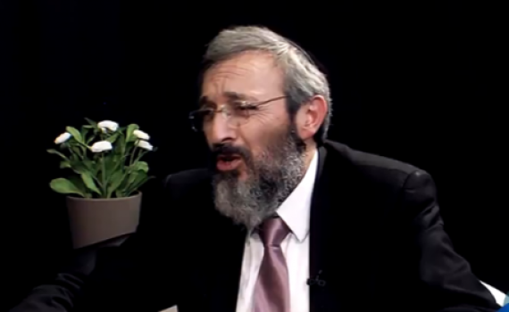 הלברטל במתקפה חריפה על יפעת ארליך ודפנה מאיר