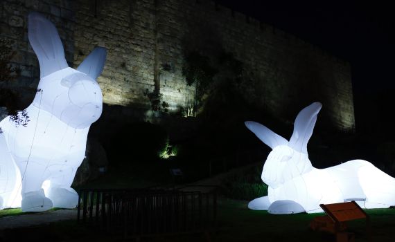 כולה אור: הצצה ראשונה מפסטיבל האור בירושלים