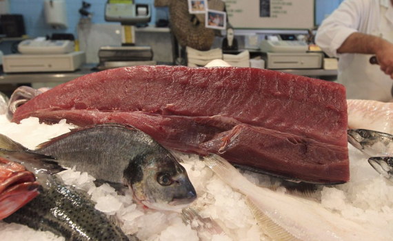 קשה לצפייה: הדבר הכי מפחיד בדגים טריים קרה