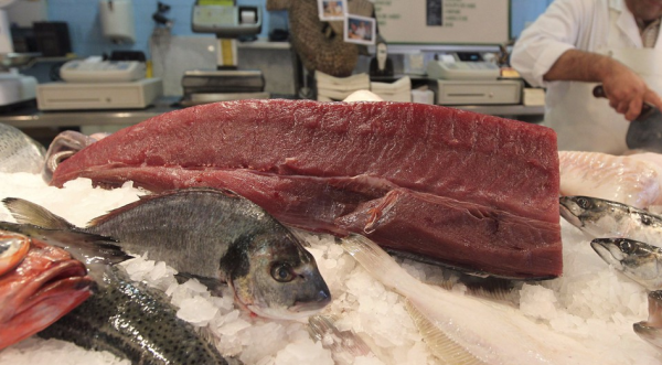 קשה לצפייה: הדבר הכי מפחיד בדגים טריים קרה