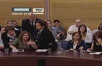 סערה בכנסת: 6 ח"כים נזרקו מדיון על חוק הלאום