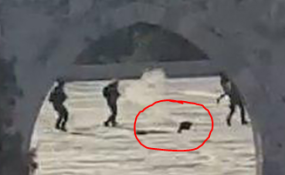 צפו: תיעוד דרמטי: המחבל "המנוטרל" התנפל על שוטר