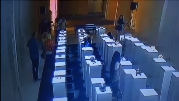 ניסתה לצלם סלפי וגרמה לנזק בשווי 200 אלף דולר