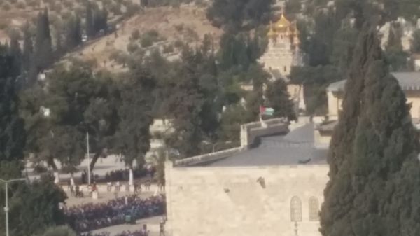 צפו: שוטרים מסירים את דגל פלסטין מהר הבית