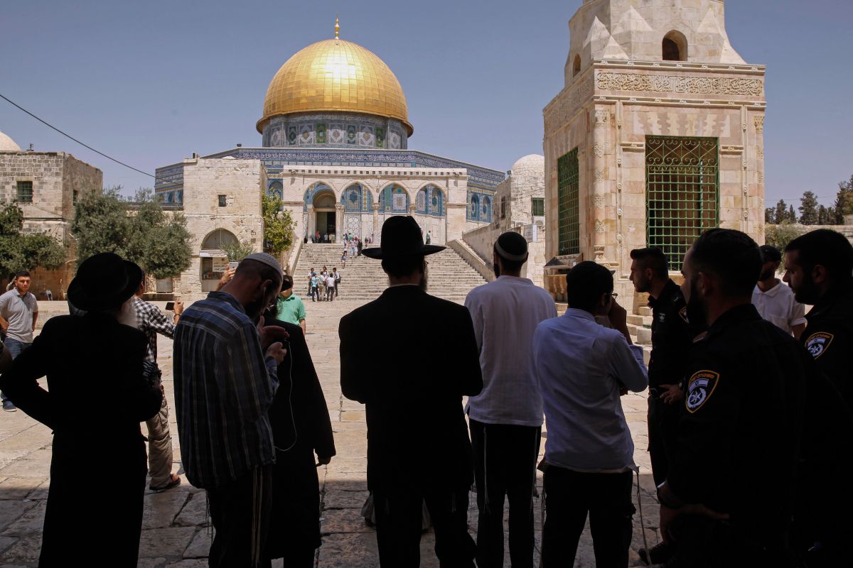 כל התורה אומרת ההיפך /תגובה לרב שטרנברג