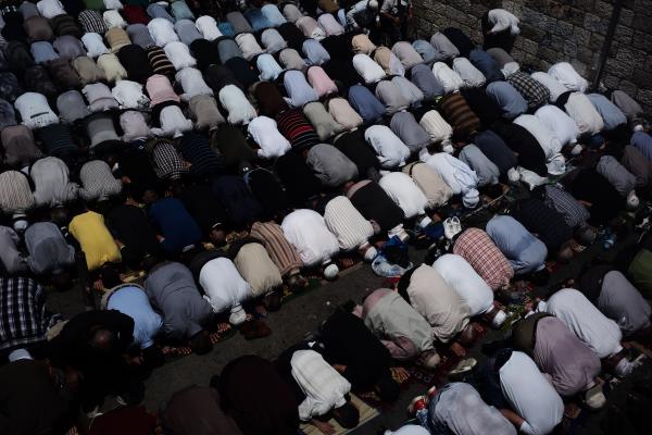 'השועלים' הם לא חוסר הריבונות אלא שנאת החינם