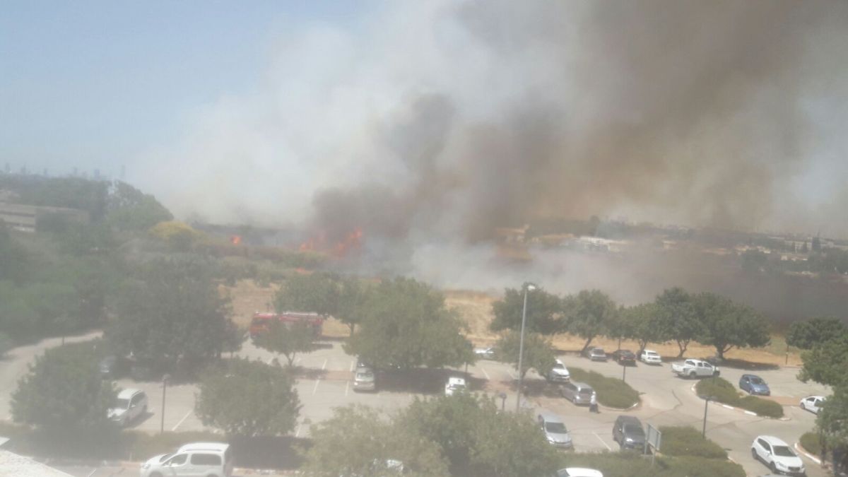שריפת קוצים ענקית סמוך למטה משרד החקלאות