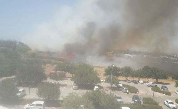 שריפת קוצים ענקית סמוך למטה משרד החקלאות