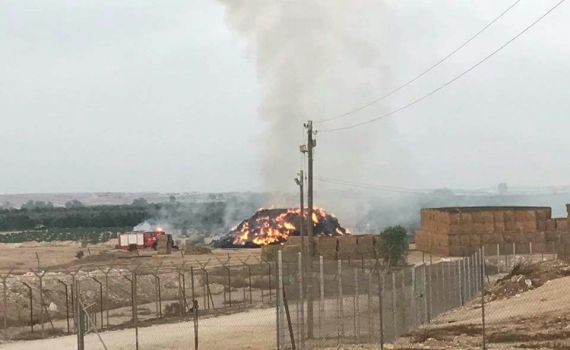 חוסר השליטה גם בדרום: תג מחיר בדואי ברביבים