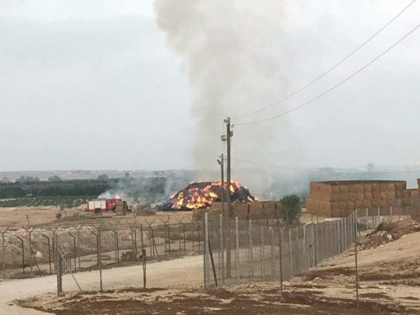 חוסר השליטה גם בדרום: תג מחיר בדואי ברביבים