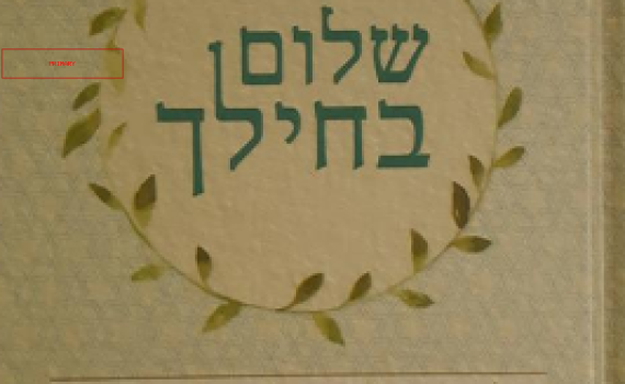 לראשונה: ספר הלכות לחיילת הדתיה/ ראיון