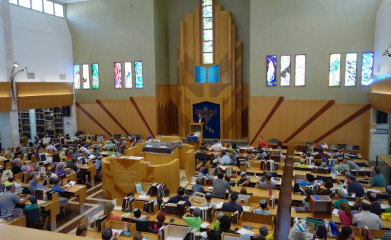 צפו: קצר על הפרשה | כך תחזור ההלכה לאידיאל