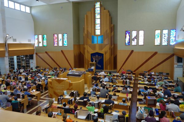 צפו: קצר על הפרשה | כך תחזור ההלכה לאידיאל