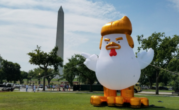 מי הציב תרנגול בדמות טראמפ בבית הלבן?