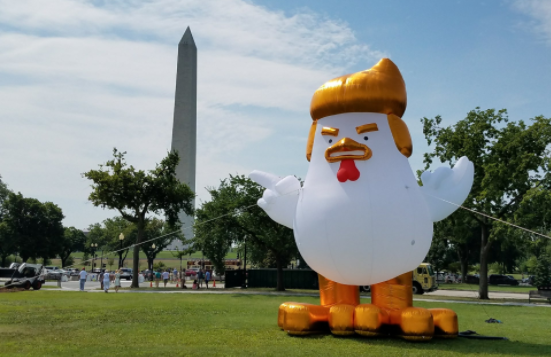 מי הציב תרנגול בדמות טראמפ בבית הלבן?