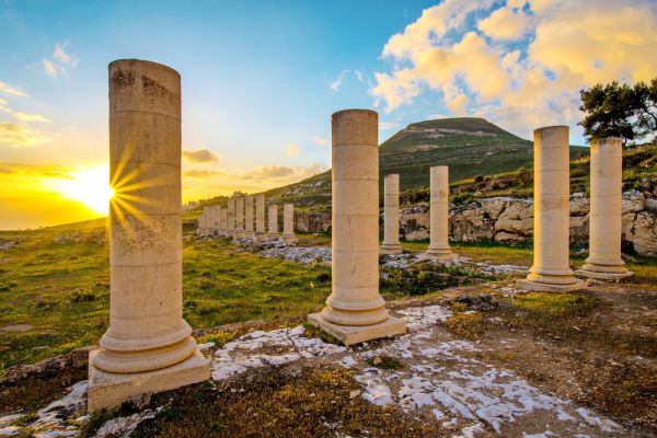 יוצאים בחופש: מסע ססגוני ומצחיק אל העבר