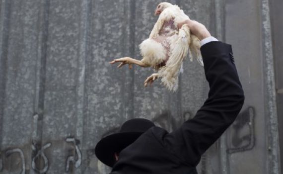 חודש לפני • העיריה הודיעה: לא נאפשר לערוך 'כפרות'