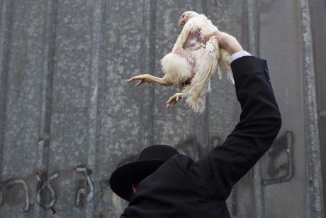 חודש לפני • העיריה הודיעה: לא נאפשר לערוך 'כפרות'