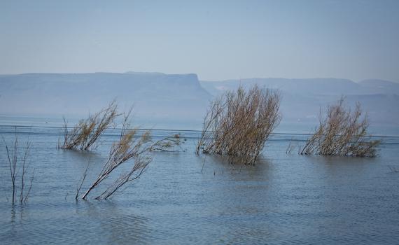 ראש רשות המים: "סכר דגניה עוד ייפתח שוב"