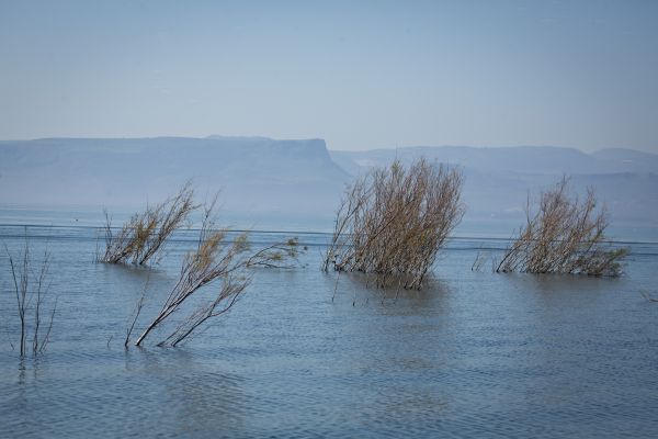 ראש רשות המים: "סכר דגניה עוד ייפתח שוב"