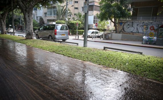עיריית ת"א מסירה אחריות מהתאונה של שלומית מלכה