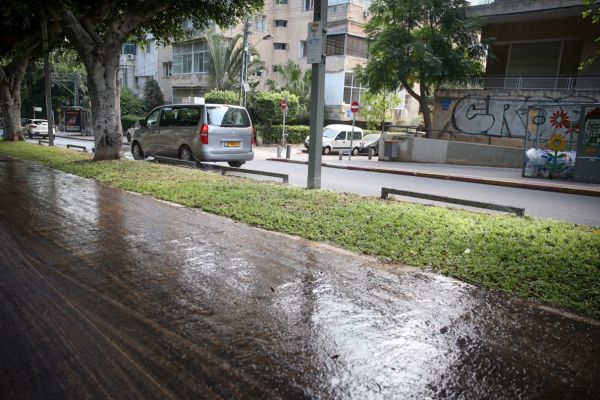עיריית ת"א מסירה אחריות מהתאונה של שלומית מלכה