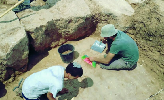 מכללת הרצוג מציגה: "סטודנט, אתה חופר"