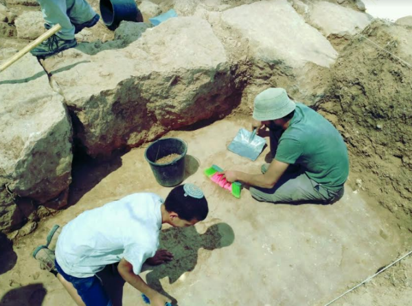 מכללת הרצוג מציגה: "סטודנט, אתה חופר"