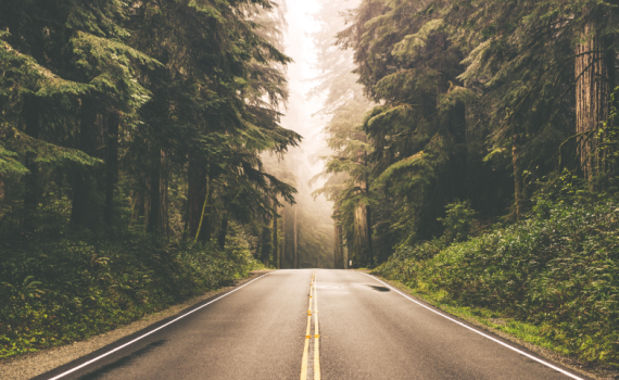 דרך קצרה שהיא ארוכה ודרך ארוכה שהיא קצרה