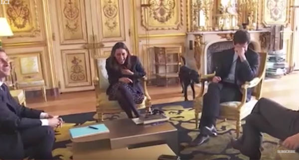 צפו: הכלב של הנשיא מקרון עושה פדיחות באמצע ישיבה