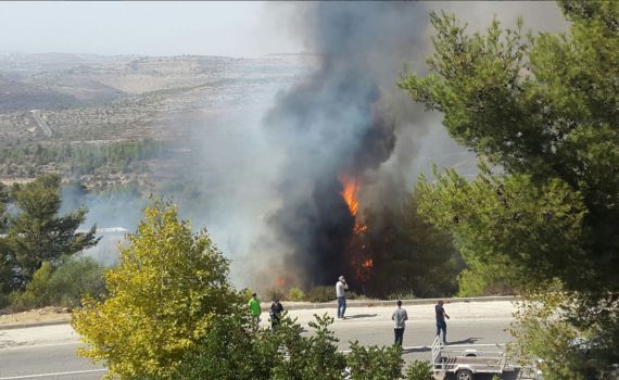 דולב: שריפת יער גדולה פרצה בסמוך לשכונה  ביישוב