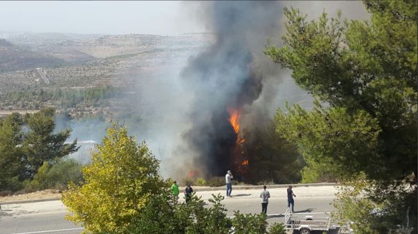 דולב: שריפת יער גדולה פרצה בסמוך לשכונה  ביישוב