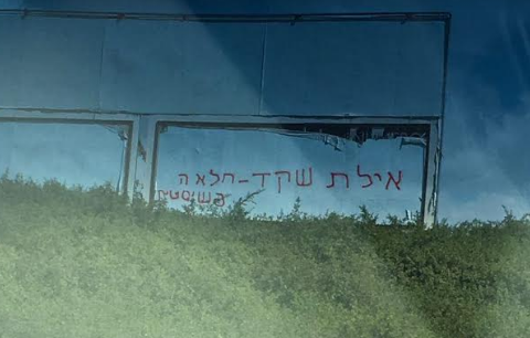 גרפיטי מסית נגד איילת שקד