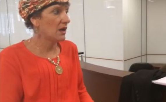 למה בעצם הבית היהודי מתנגד ל'חוק הצרפתי'?