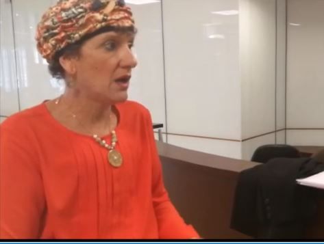 למה בעצם הבית היהודי מתנגד ל'חוק הצרפתי'?