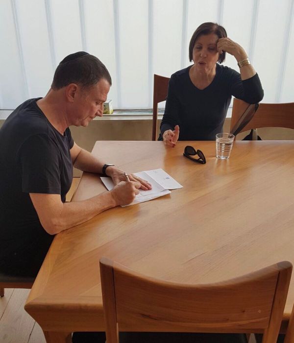 עכשיו זה רשמי: גלאון התפטרה מהכנסת