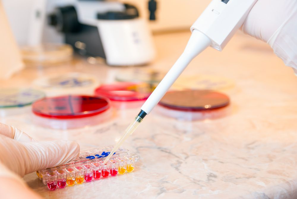 מאות בני ישיבות ותלמידות סמינרים נבדקו ב'דור ישרים' בימי הבדיקות המרוכזים