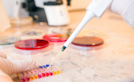 מאות בני ישיבות ותלמידות סמינרים נבדקו ב'דור ישרים' בימי הבדיקות המרוכזים