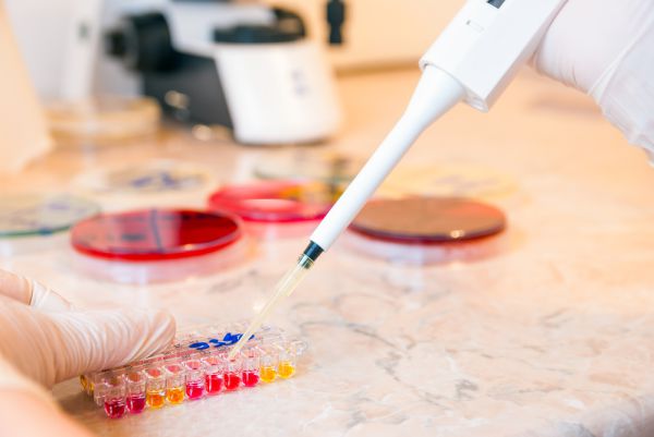 מאות בני ישיבות ותלמידות סמינרים נבדקו ב'דור ישרים' בימי הבדיקות המרוכזים