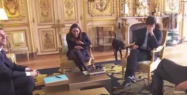 צפו: הכלב של הנשיא מקרון עושה פדיחות באמצע ישיבה