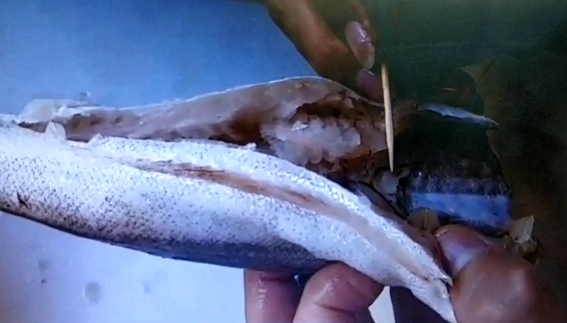 צפו: למה לא כדאי לכם לאכול את הדג הזה?