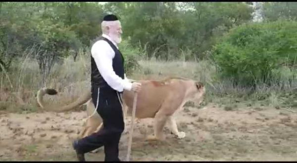 הרב ערוסי על הנס של משי-זהב: סיכון מיותר ואסור