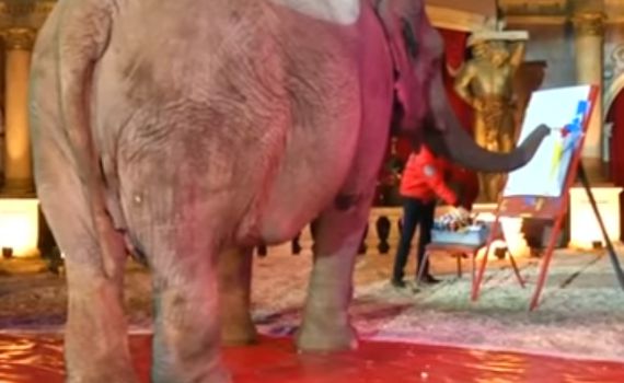 הפיל את השוק: פיל מוכר ציורים במאות דולרים