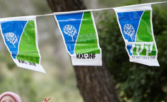 הממשלה אישרה את הלאמת קק"ל; אריאל התנגד