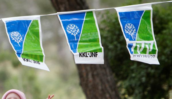 הממשלה אישרה את הלאמת קק"ל; אריאל התנגד