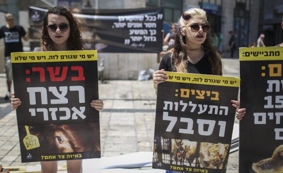 מדוע רק שמאלנים פעילים למען זכויות בעלי חיים?