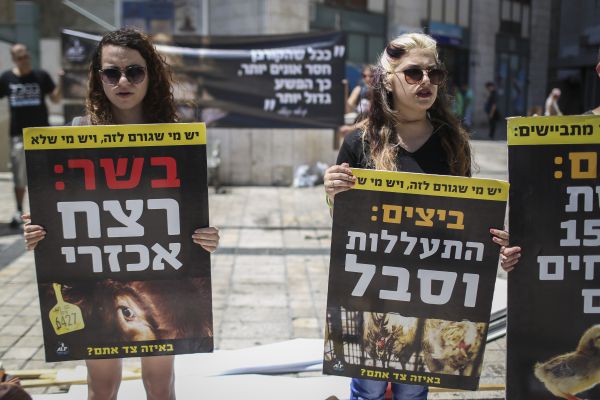 מדוע רק שמאלנים פעילים למען זכויות בעלי חיים?