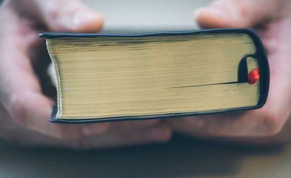 סוף פסוק: נורה למוות בגלל ויכוח על פסוק מהתנ"ך