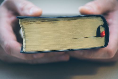 סוף פסוק: נורה למוות בגלל ויכוח על פסוק מהתנ"ך