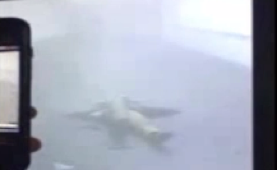 צפו: מחבל שנשא על גופו מטען מתפוצץ בניו יורק